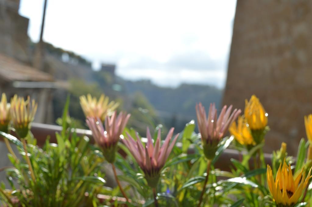 Casa Dei Lavatoi Pitigliano Apartment Exterior photo